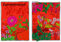 Elegantki trucicielki i inne ziółka Wydawnictwo Dwie Siostry, atlasy i książki dla dzieci