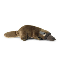 Pluszowy dziobak 30 cm Rappa 211582