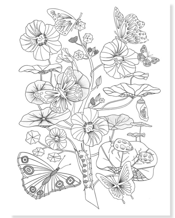 Obrazy do kolorowania w teczce Las Djeco DJ08696 komplet 3 dużych obrazów