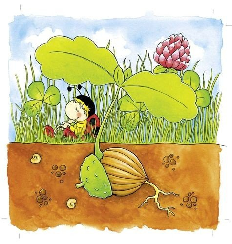 Układanka drewniana na podstawce, Od nasionka do drzewa, Dąb, 57522-goki, puzzle drewniane, edukacyjne