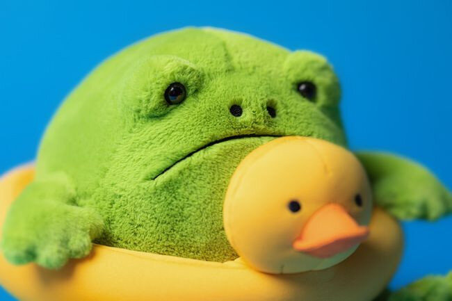 Deszczowa Żaba Ricky z Kaczuszką do Pływania 18 cm Jellycat maskotki