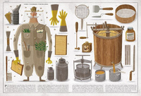 Pszczoły. Wydawnictwo Dwie Siostry, książki dla dzieci