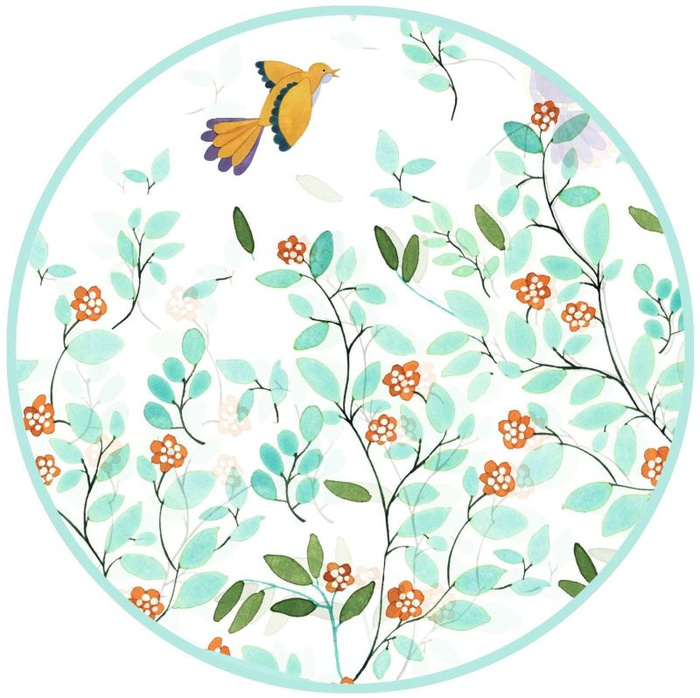 Transparentna pelerynka przeciwdeszczowa dla dzieci ptaszki Djeco DD04683