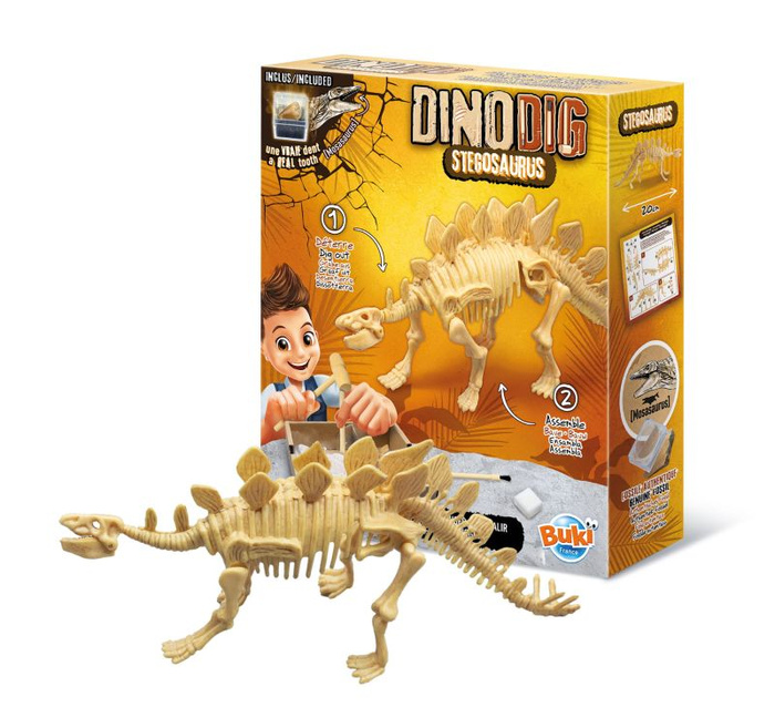 Szkielet dinozaura do odkopania i złożenia Stegozaur Mały paleontolog Buki 445STE