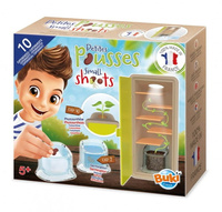 Mała szklarnia Obserwacja wzrostu roślinki Buki M001