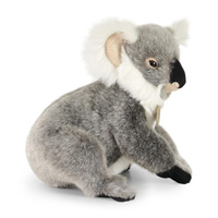 Pluszowy miś Koala 25 cm Rappa 205628