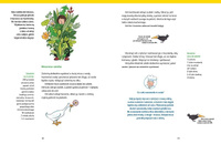 Wielkie gotowanie na ulicy Czereśniowej Wydawnictwo Dwie Siostry, książki dla dzieci