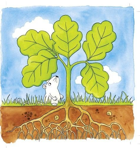 Układanka drewniana na podstawce, Od nasionka do drzewa, Dąb, 57522-goki, puzzle drewniane, edukacyjne