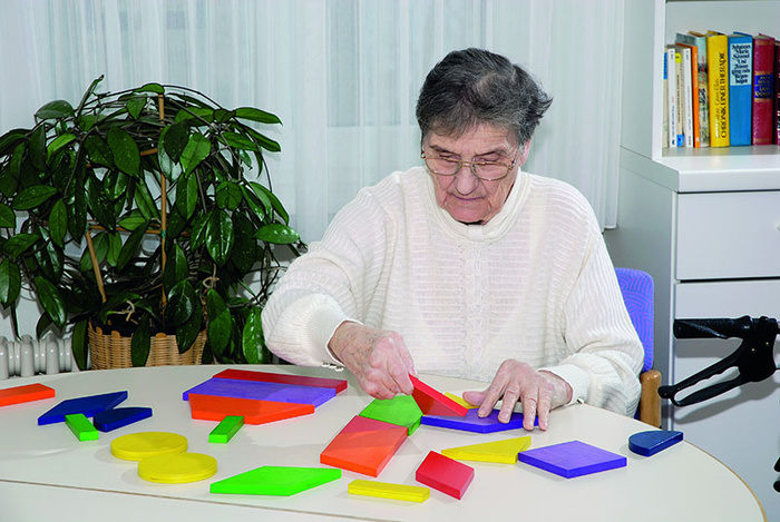 Układanka geometryczna MAXI 210037 Pilch