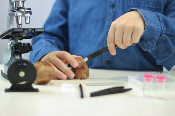 Mikroskop dla dzieci 30 doświadczeń Buki MS907B