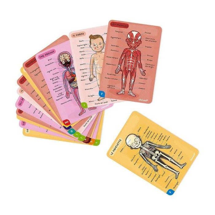 Edukacyjna układanka magnetyczna, "Anatomia człowieka", J05491-Janod, układanki dla dzieci