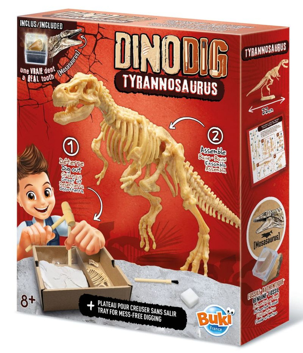 Szkielet dinozaura do odkopania i złożenia Tyranozaur Mały paleontolog Buki 445TYR