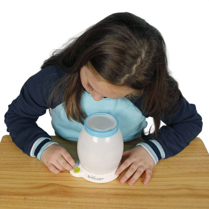 Obserwatorium Owadów Buggy Light FA274-1 Fat Brain Toy, lampka nocna