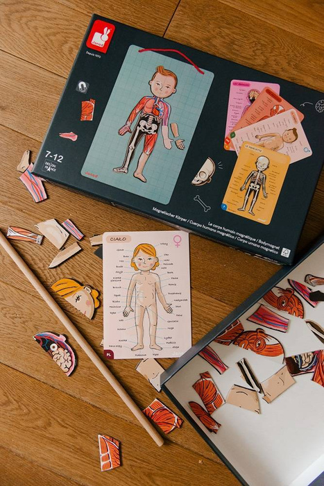 Edukacyjna układanka magnetyczna, "Anatomia człowieka", J05491-Janod, układanki dla dzieci