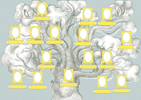 Moja Rodzina - drzewo genealogiczne, ZT8498-Zuzu Toys, książki edukacyjne dla dzieci