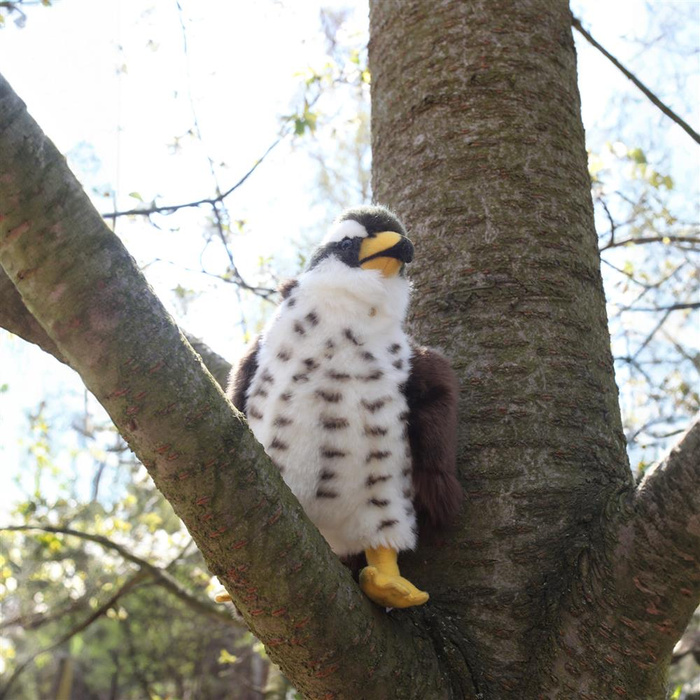 Pluszowy jastrząb 23 cm Rappa 211636