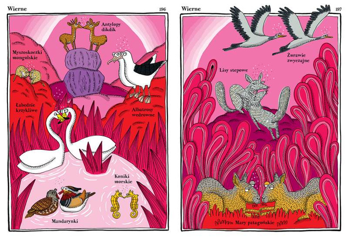 Narwańcy uwodziciele samotnicy Wydawnictwo Dwie Siostry, atlasy i książki dla dzieci