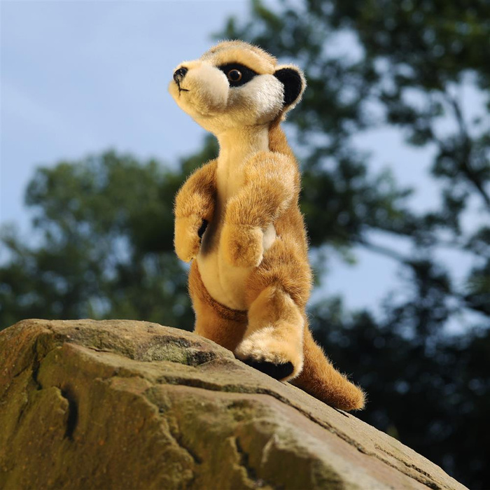 Pluszowa surykatka 30 cm Rappa 222700