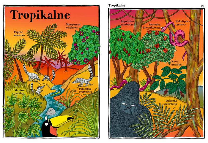 Elegantki trucicielki i inne ziółka Wydawnictwo Dwie Siostry, atlasy i książki dla dzieci