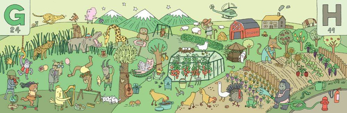 Mam oko na litery Wydawnictwo Dwie Siostry, edukacyjne książki dla dzieci