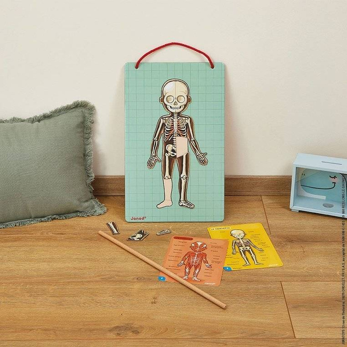 Edukacyjna układanka magnetyczna, "Anatomia człowieka", J05491-Janod, układanki dla dzieci