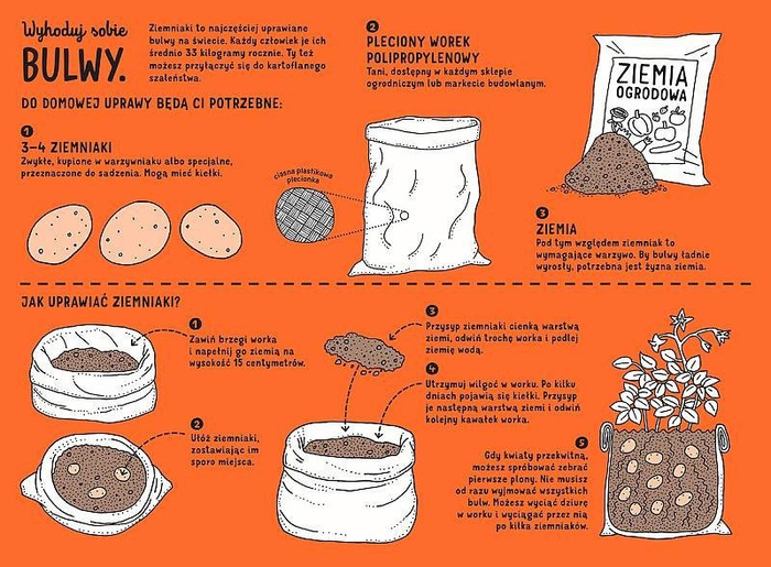 Podziemnik. Wydawnictwo Dwie Siostry, książki dla dzieci