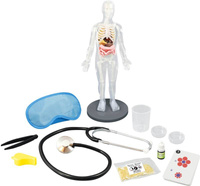 Nauka i zabawa dla dzieci Ciało człowieka 2163 Buki