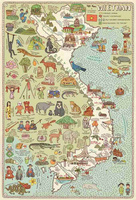 Mapy. Edycja fioletowa. Wydawnictwo Dwie Siostry, książki dla dzieci