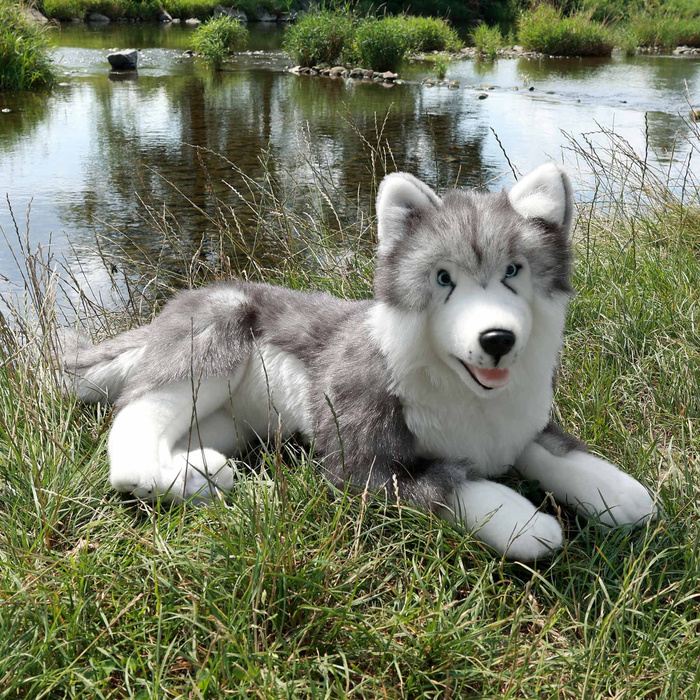 Pluszowy Husky 60 cm Rappa 241138 ekologiczna Maskotka przyjazna środowisku