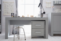 Szary kontener Pinio Calmo