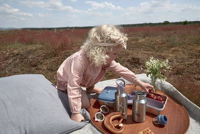 Stalowy Lunchbox Adventure Ważka 1210029332-Lassig, pudełka śniadaniowe dla dzieci