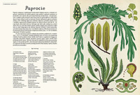 Botanicum. Wydawnictwo Dwie Siostry, książki dla dzieci