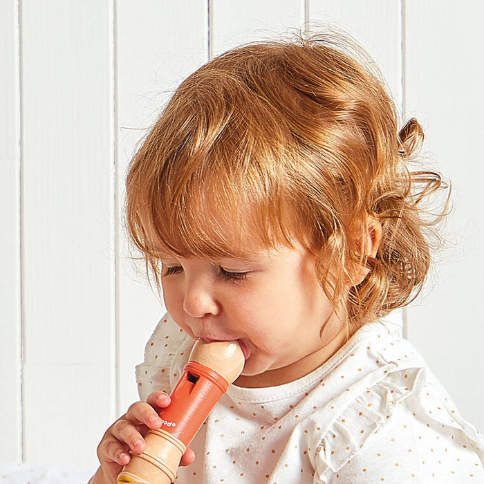 Zestaw drewnianych zabawkowych instrumentów muzycznych Gioia J07656 Janod