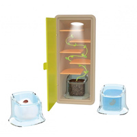 Mała szklarnia Obserwacja wzrostu roślinki Buki M001