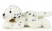 Pluszowy piesek Dalmatyńczyk 30 cm Rappa 221659