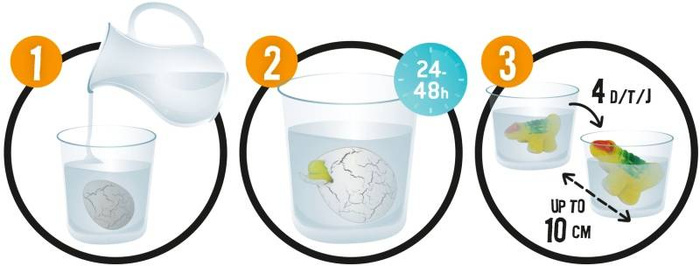 Nauka i zabawa dla dzieci Magiczne jajko dinozaura D6G Buki