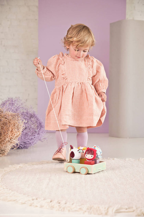 Drewniany wózek multifunkcyjny z sorterem do ciągnięcia Wilk Louis 83470 LILLIPUTIENS