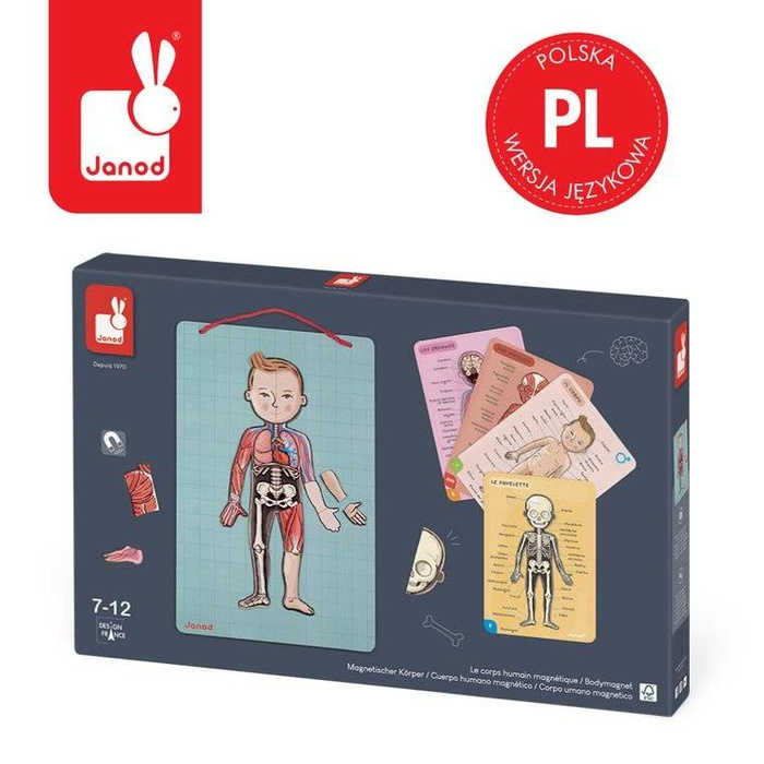 Edukacyjna układanka magnetyczna, "Anatomia człowieka", J05491-Janod, układanki dla dzieci
