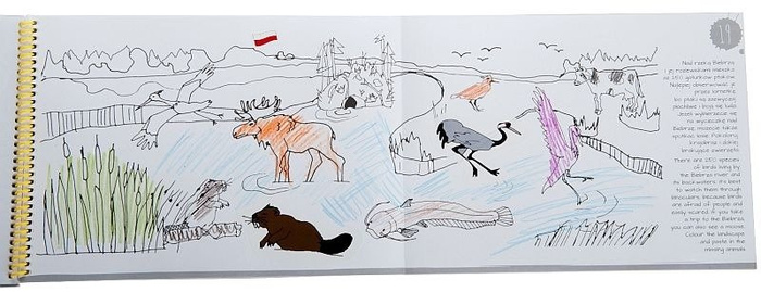 Przygoda z Polską - książka, kreatywna zabawa dla dzieci, ZT8146-Zuzu Toys