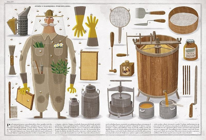 Pszczoły. Wydawnictwo Dwie Siostry, książki dla dzieci