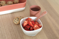 Silikonowe naczynia dla dzieci Zestaw z przyssawką Terracotta Beaba 913591