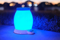 Obserwatorium Owadów Buggy Light FA274-1 Fat Brain Toy, lampka nocna