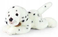 Pluszowy piesek Dalmatyńczyk 30 cm Rappa 221659