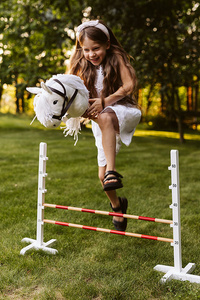 Hobby Horse przeszkoda dla konia na kiju Astrup 84231 