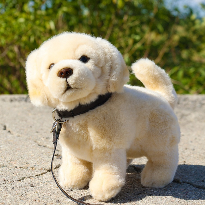 Pluszowy Golden Retriever ze smyczą 25 cm Rappa 231009 realistyczna i ekologiczna Maskotka dla dzieci
