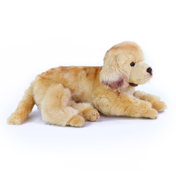 Pluszowy piesek Golden Retriever 32cm Rappa 183254