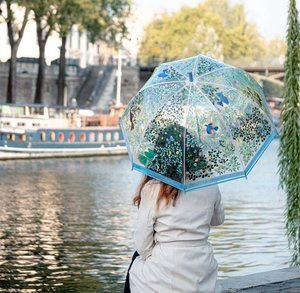 Przezroczysta parasolka dla dorosłych Ptaki DD04721-Djeco, akcesoria na dwór