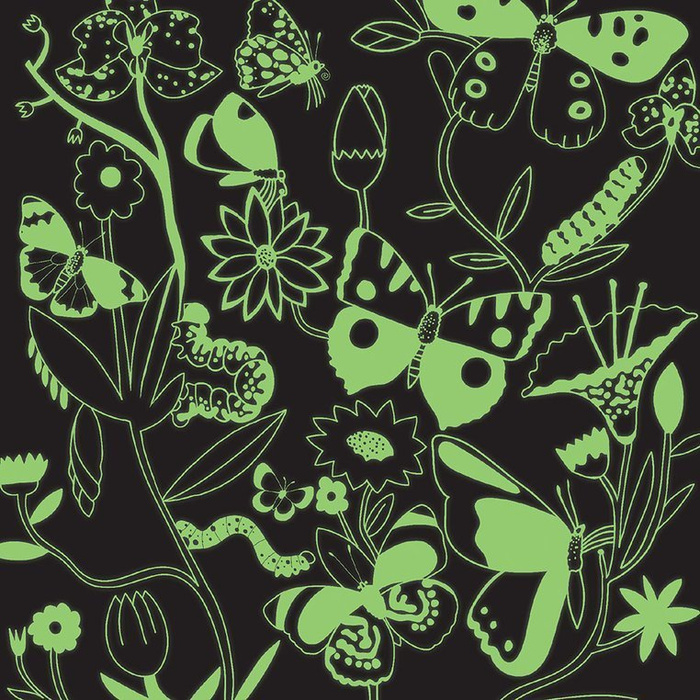 Motyle - świecące w ciemności puzzle 500 el dla całej rodziny MP66640-Mudpuppy, puzzle tekturowe