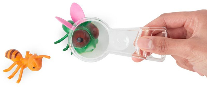 Niezbędnik małego obserwatora przyrody pojemnik z minilupą i siatką na owady Mały odkrywca B.Toys BX2194Z