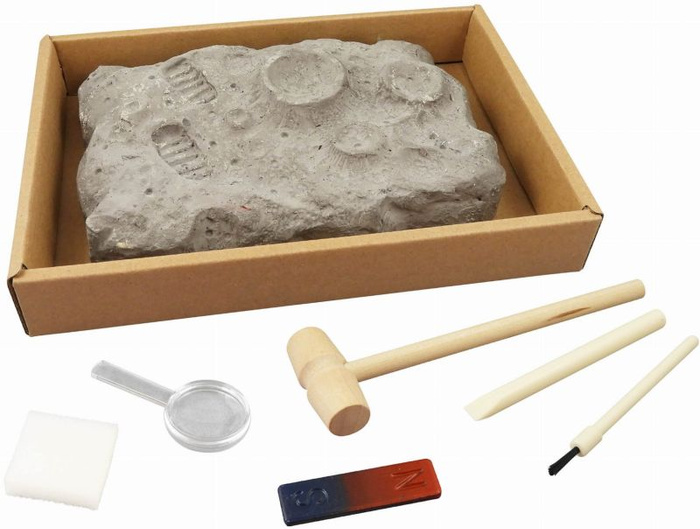 Nauka i zabawa Mały archeolog Kosmiczne skały Buki 442